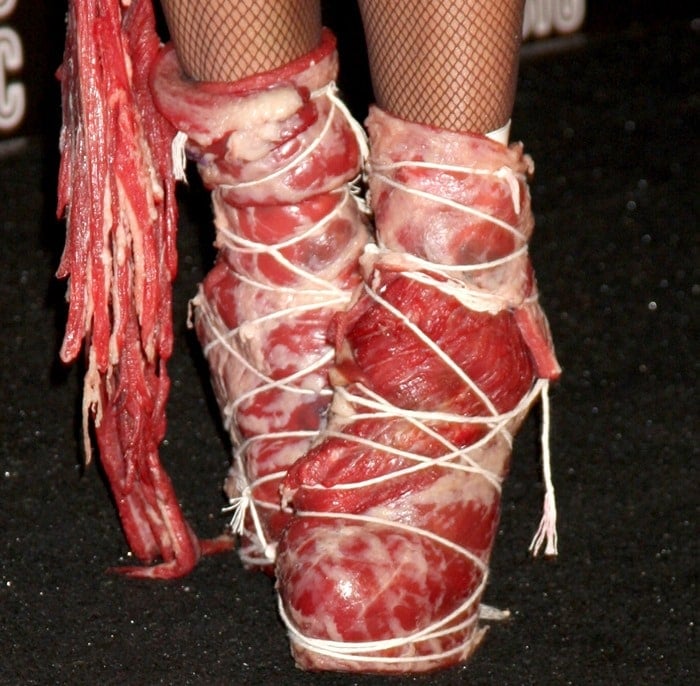 Lady Gaga wearing her infamous meat shoes