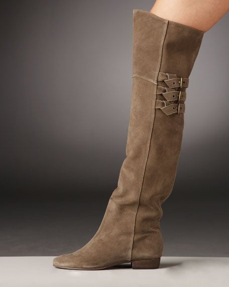 Joie Suede Over-the-Knee Boot