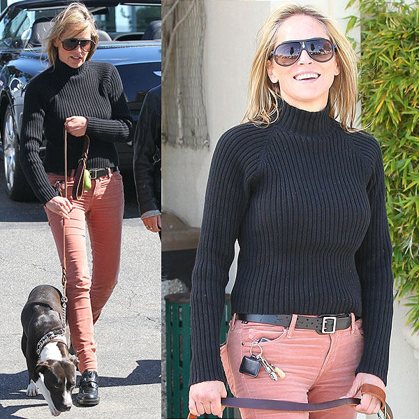 Sharon Stone walking her pit bull pup before heading out to lunch at Clafoutis