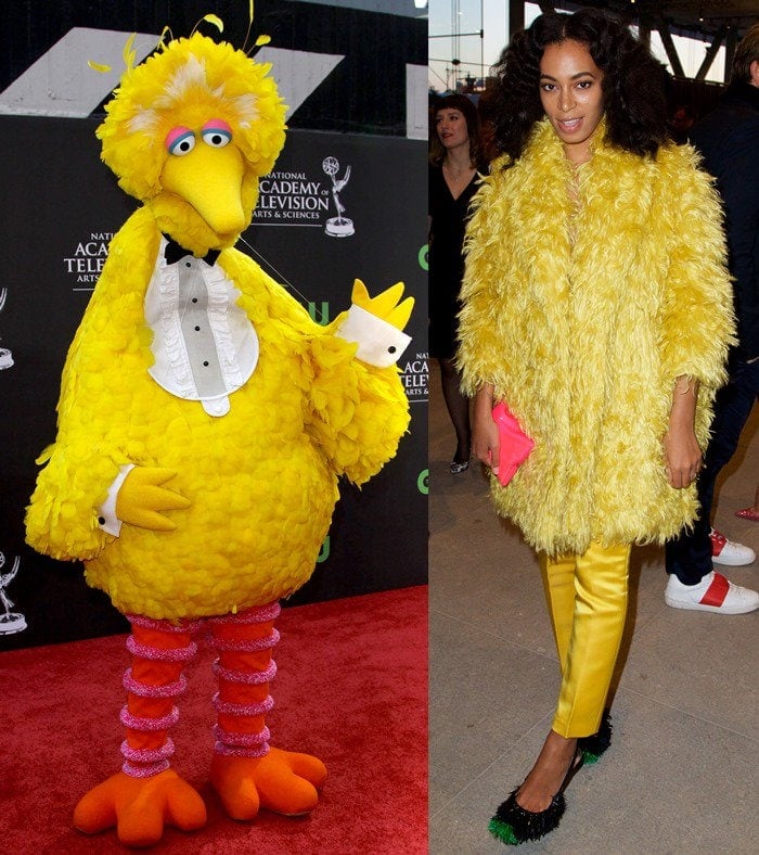 Big Bird of Sesame Street attends the 36th Annual Daytime Emmy Awards at The Orpheum Theatre in Los Angeles on August 30, 2009 / Solange Knowles at the opening night party of The Whitney Museum of American Art in New York City on April 24, 2015
