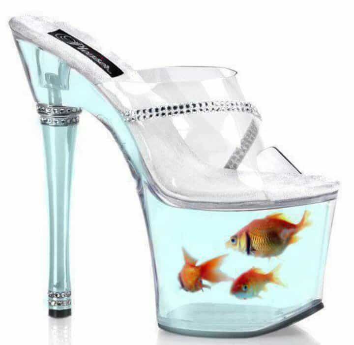 Fish Shoes & Goldfish Heels 10 Most Amusing Aquarium Shoes