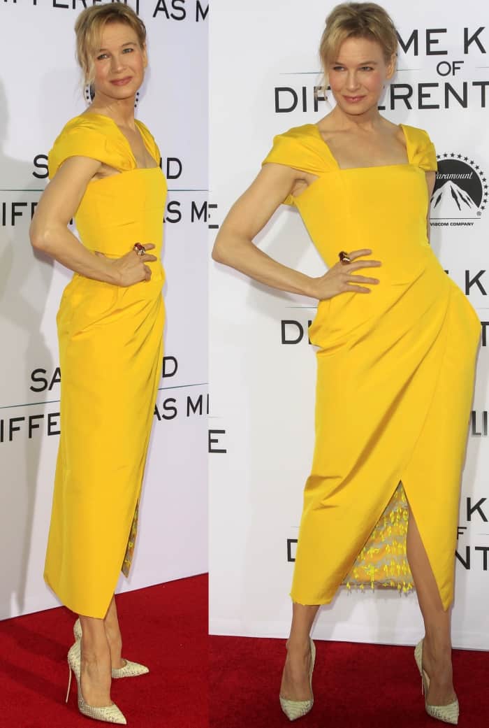 Renee Zellweger wearing a Carolina Herrera Spring 2018 dress and Christian Louboutin "So Kate" pumps at the "Same Kind of Different As Me" premiere