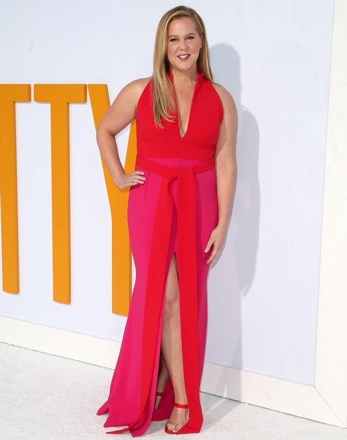 Amy Schumer in a two-toned pink Brandon Maxwell dress with plunging neckline and belt