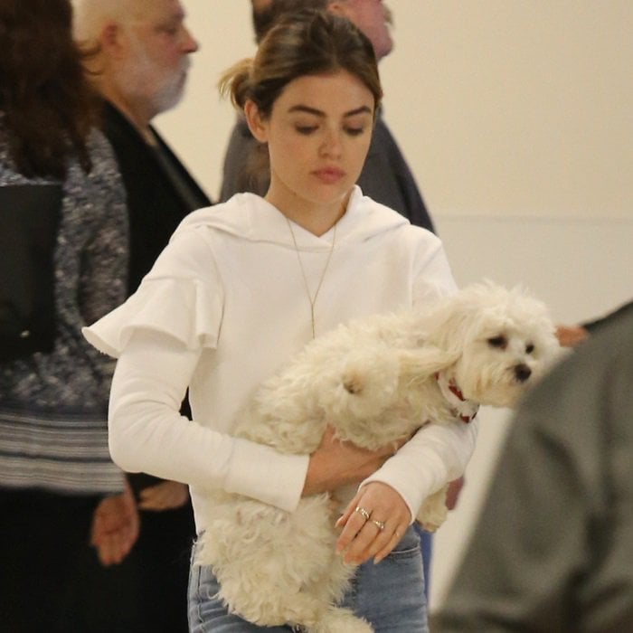 Lucy Hale carrying her adorable two-year-old maltipoo Elvis at LAX on April 2, 2018