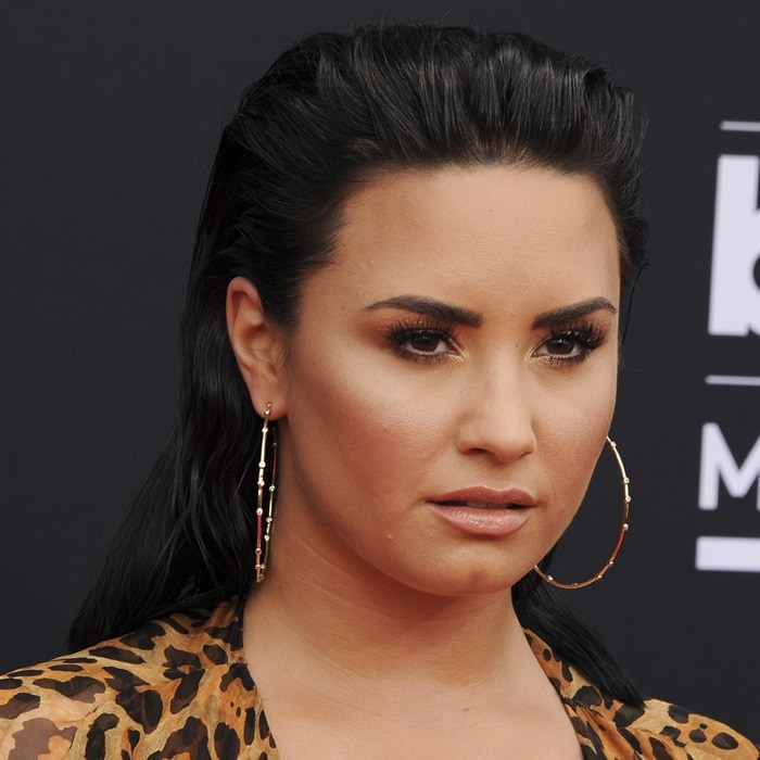 Demi Lovato's large circle hoop earrings from Melinda Maria Jewelry