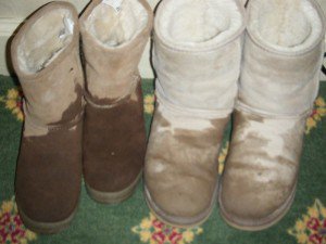 how to clean uggs if they get wet
