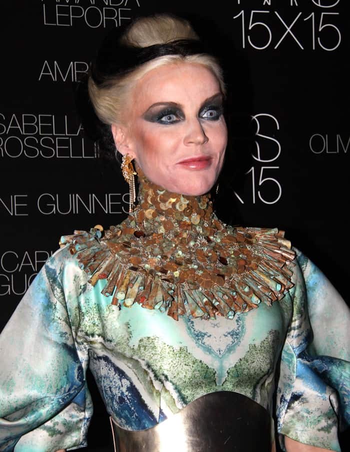 Daphne Guinness made a stunning appearance on the red carpet at the Nars 15th anniversary party in New York