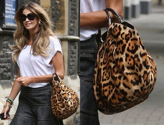 Leopard on sale clutch bag