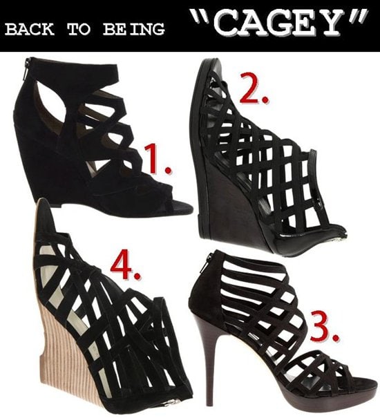 Birdcage Shoe Alternatives