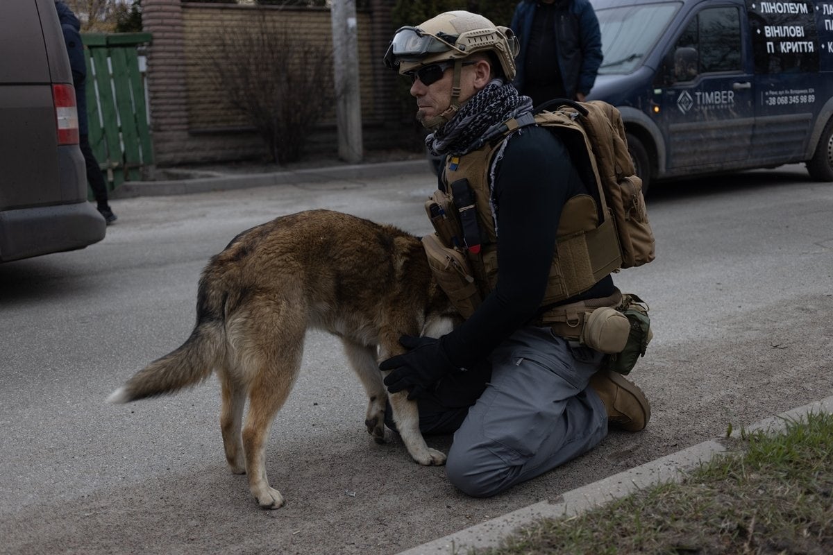 American army veteran soldier in Irpin feeds a dog inside the bombing zone