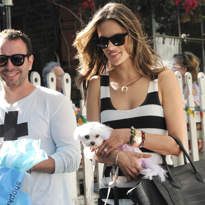 Alessandra Ambrosio goes shopping with her dog at Kitson