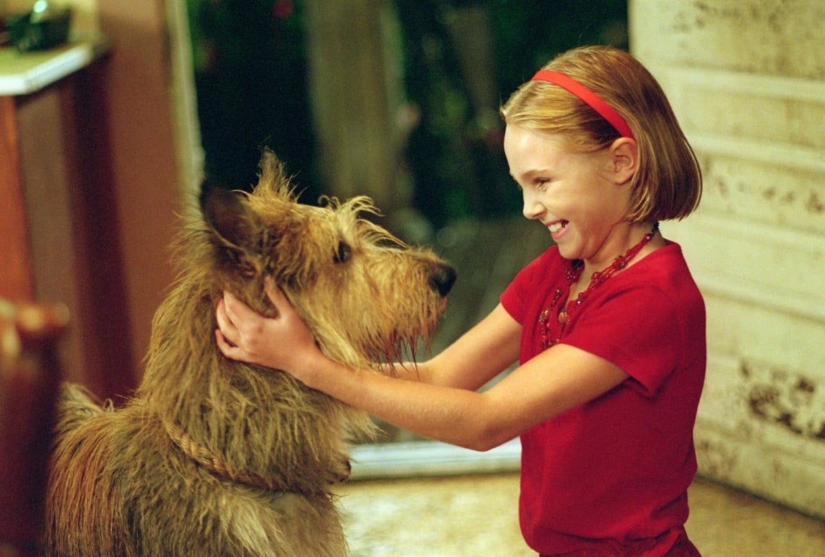 During the filming of "Because of Winn-Dixie" from September 29, 2003, to December 16, 2003, AnnaSophia Robb, who played the character Opal, turned 10 years old