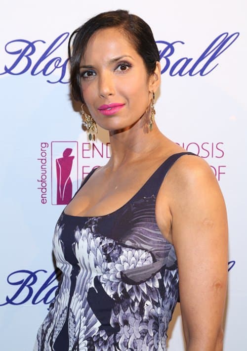 Padma Lakshmi with slicked-back hair in a kaleidoscopic crane print dress