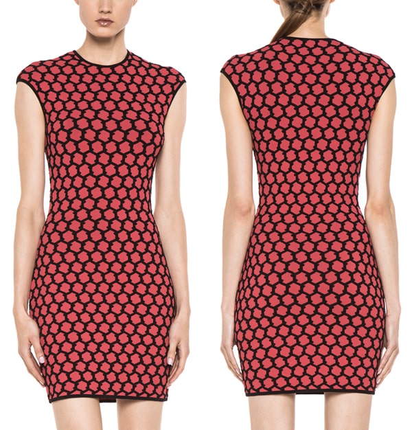 Alexander McQueen 3D Jacquard Honeycomb Knit Dress in Red