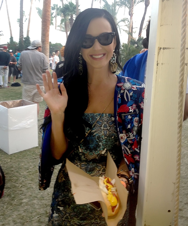 Katy Perry wears an Alice + Olivia floral-embroidered jacket during the 2013 Coachella Valley Music and Arts Festival