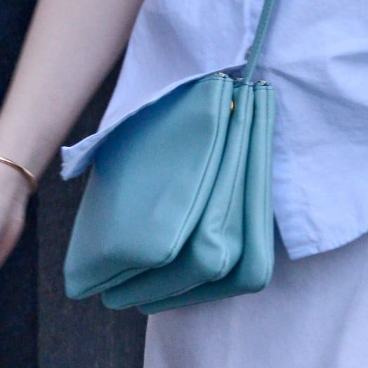 Close-up of Dakota Fanning's sophisticated Celine Trio Bag in Glacier, showcasing her impeccable taste in accessories during her New York outing on April 9, 2013
