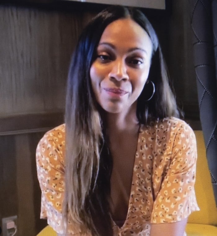 Zoe Saldana apologized for portraying Nina Simone in a 2016 biopic