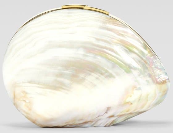 Rafe New York Sirene Shell Minaudiere in White