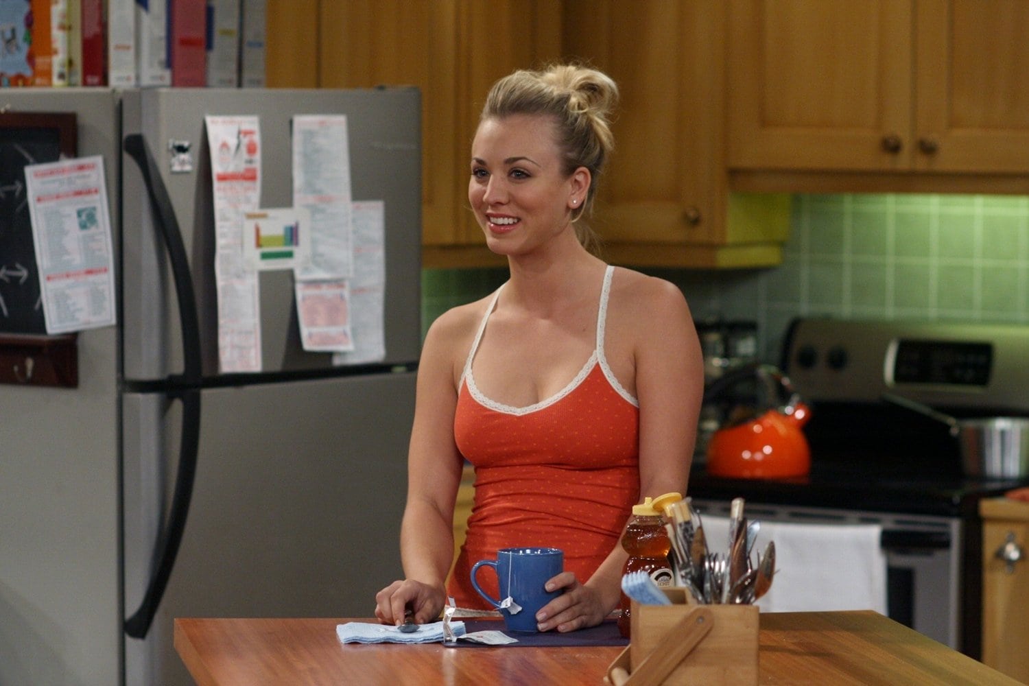 Kaley Cuoco starred as Penny Teller in all twelve seasons of the CBS popular show The Big Bang Theory