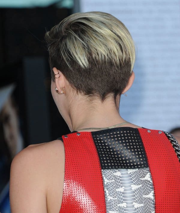 A closer look at the gorgeous textures of Miley Cyrus' Proenza Schouler whipsnake/leather dress