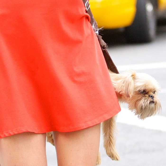 Rachelle Garzia makes a fashion statement with her unique pooch purse as she walks her dog in New York City