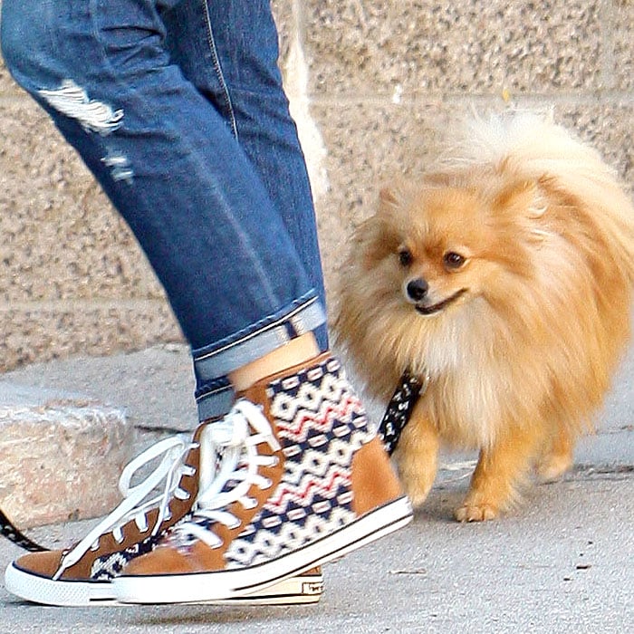 Gwen Stefani's fair-isle-printed fashion sneakers with zig-zag print knit panels and her Pomeranian puppy