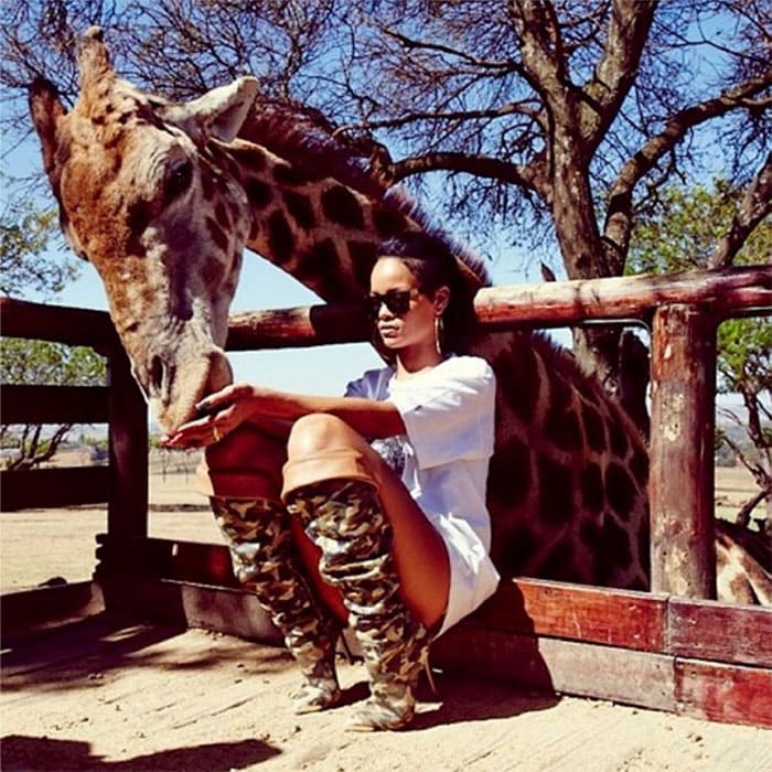 Rihanna feeding a giraffe in South Africa