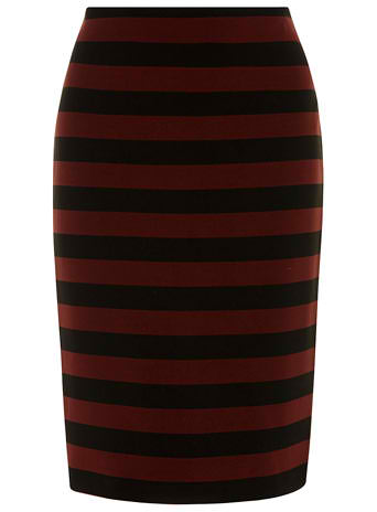 Dorothy Perkins Black and Berry Stripe Skirt