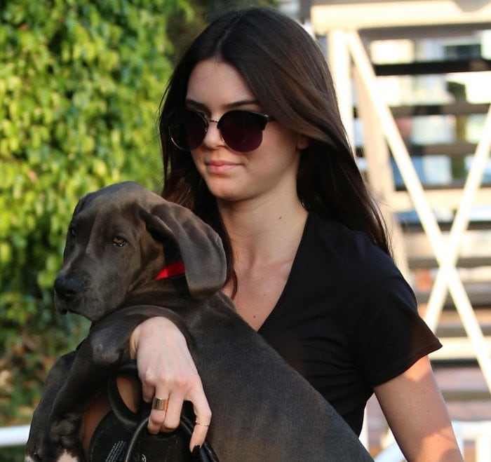 Kendall Jenner goes shopping at Fred Segal in Los Angeles with her friends and pet dog Blue, a Great Dane