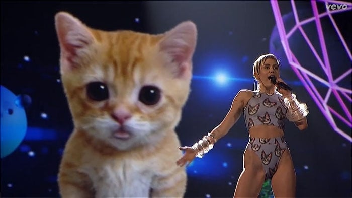 Miley's cat-covered Markus Lupfer bikini is all people can talk about
