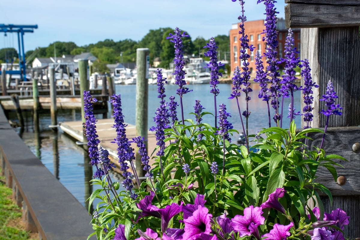 Mystic is a village and census-designated place in Groton and Stonington, Connecticut, and is known for its beautiful waterfront and historic homes