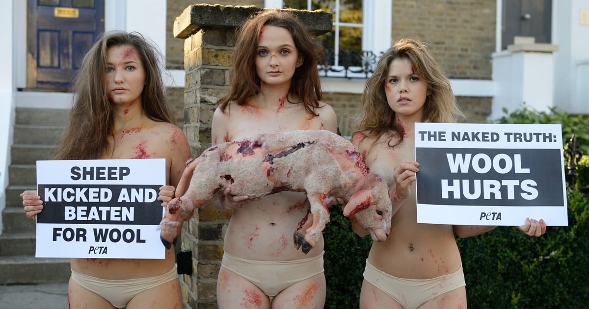 do they skin sheep alive for uggs