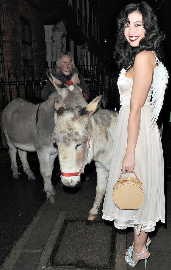 Daisy Lowe did her best to charm a couple of donkeys