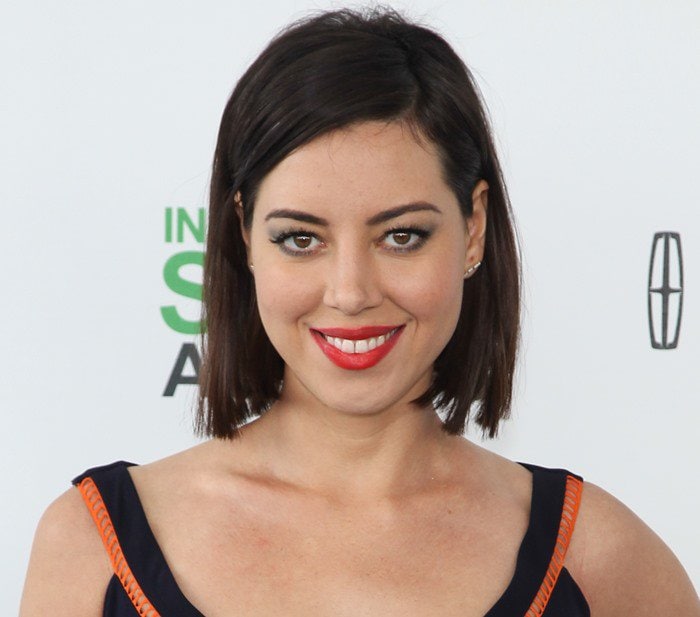 Aubrey Plaza wears her hair down at the 2014 Film Independent Spirit Awards