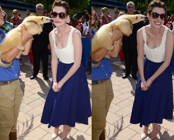 Maintaining a chic and laid-back appearance, Anne Hathaway donned an Osman Spring 2014 embellished square-neck crop top, elegantly paired with a blue midi skirt featuring tuck pleating