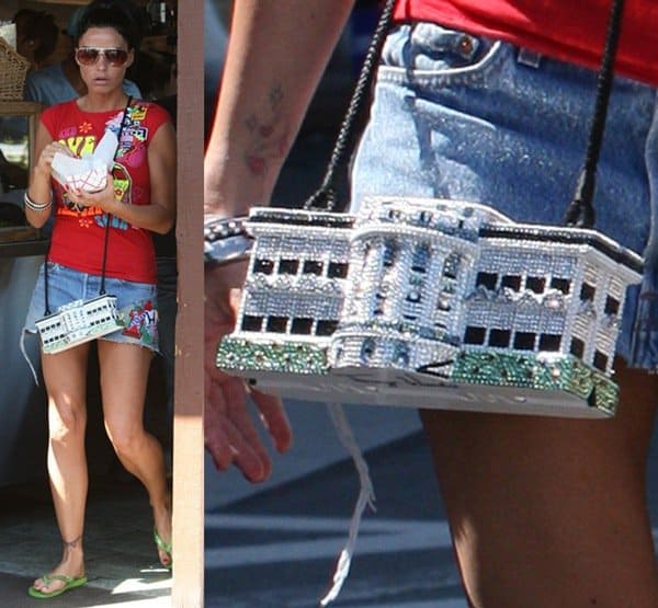 Katie Price totes a mini White House purse