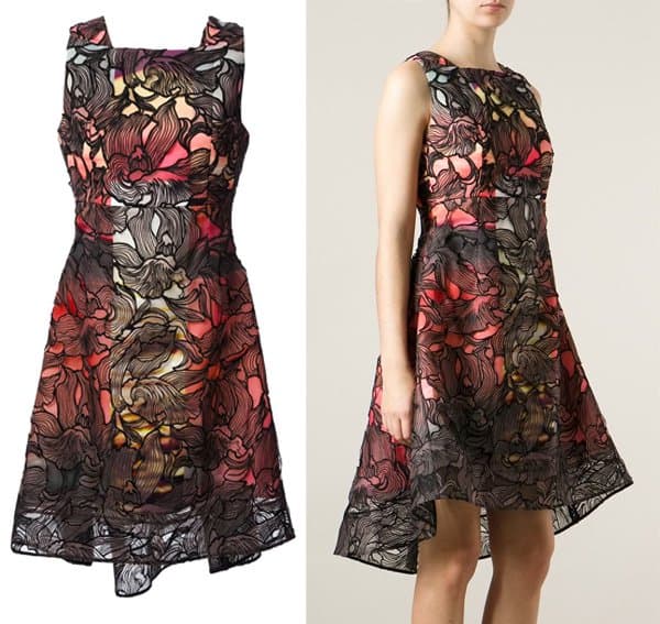 Peter Pilotto Eclipse Lace Overlay Dress