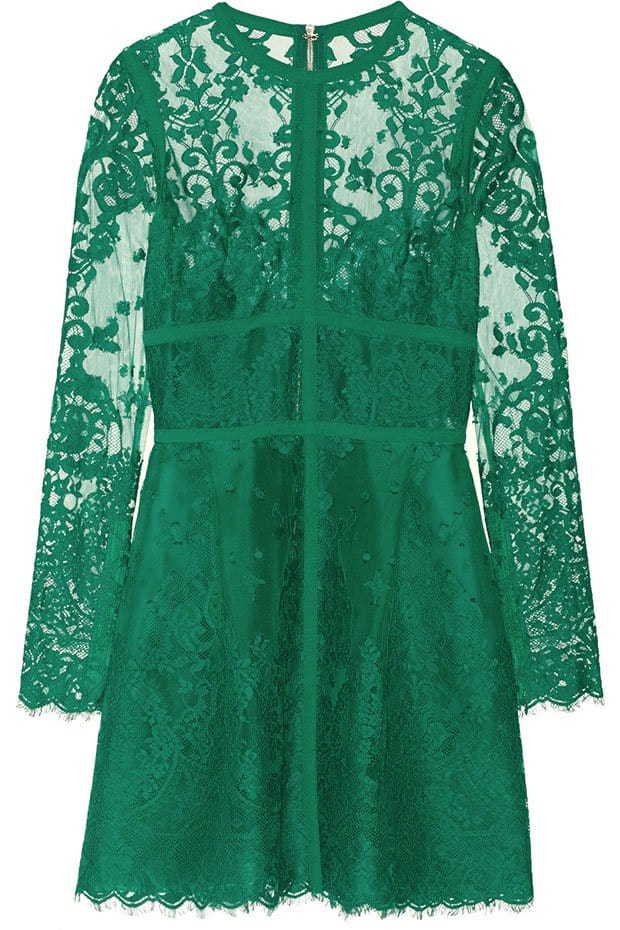 Elie Saab Lace Mini Dress