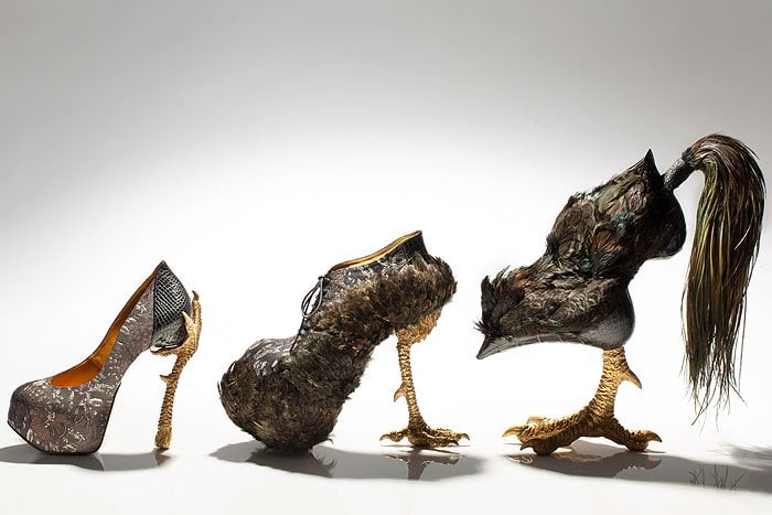 Masaya Kushino's "Bird-Witching" shoe collection