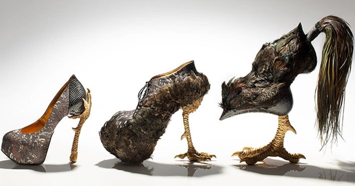birdshoes
