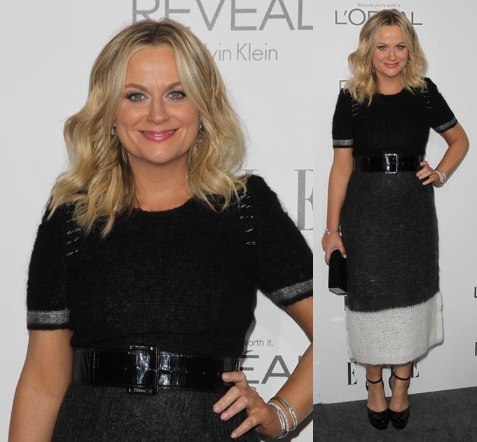 Amy Poehler at the 2014 ELLE Women In Hollywood Awards