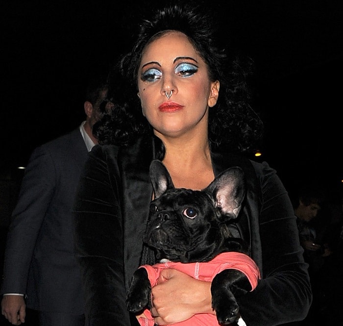 Lady Gaga enjoying the company of her batpig (French bulldog)