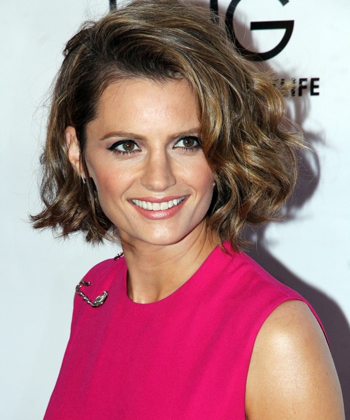 Stana Katic at the 'CBGB' West Coast premiere held at ArcLight Cinemas in Hollywood on October 1, 2013