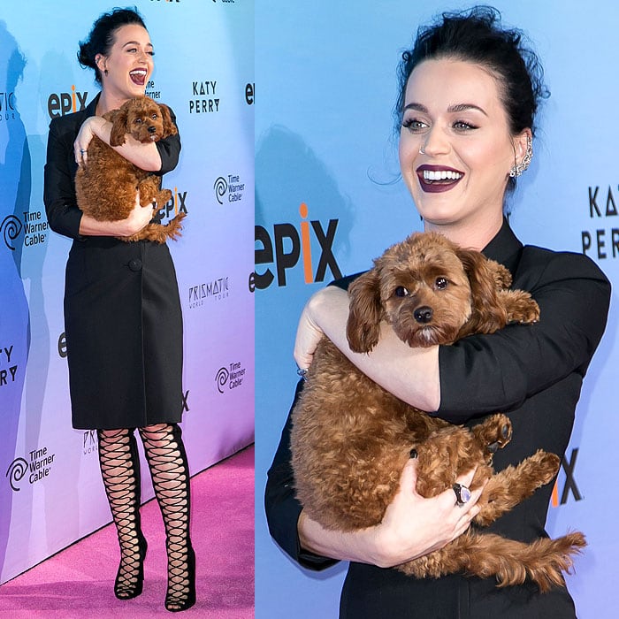 Katy Perry being joined on the pink carpet by her dog, Butters, whom Katy also calls the official mascot for the Prismatic World Tour