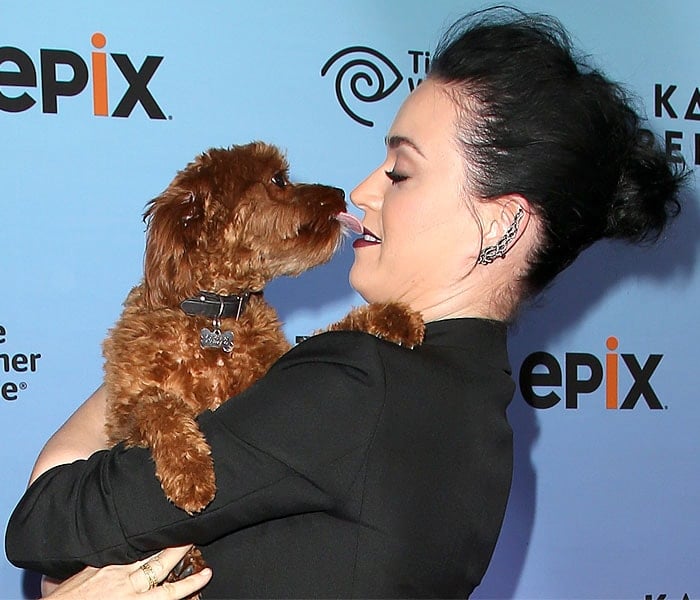 Butters giving Katy Perry a sloppy kiss