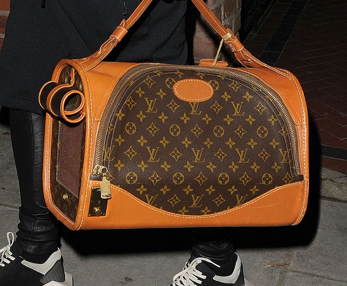 Rita Ora carries her puppy in a Louis Vuitton dog carrier