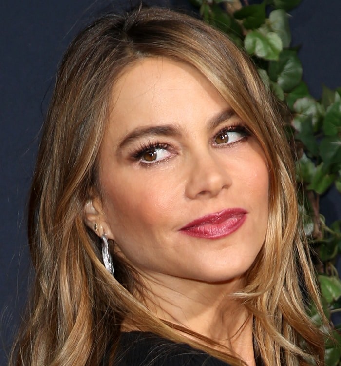 Sofia Vergara rocked her signature hoop earrings