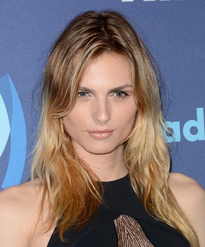 Andreja Pejic is a renowned Australian transgender model known for breaking barriers in the fashion industry