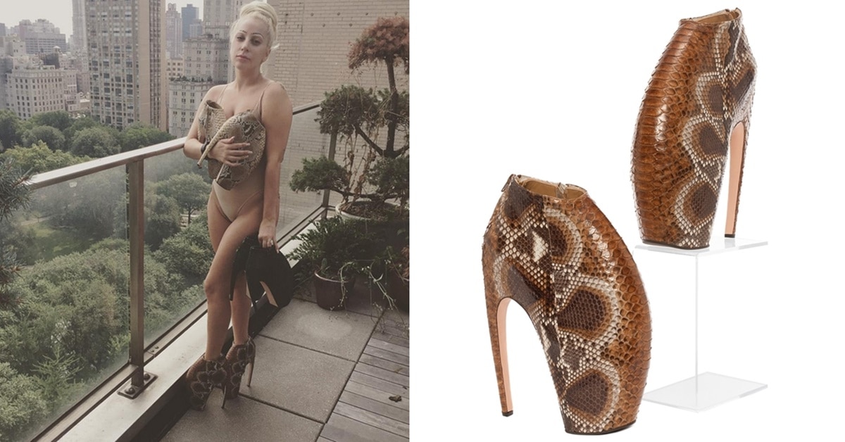 lady gaga armadillo heels