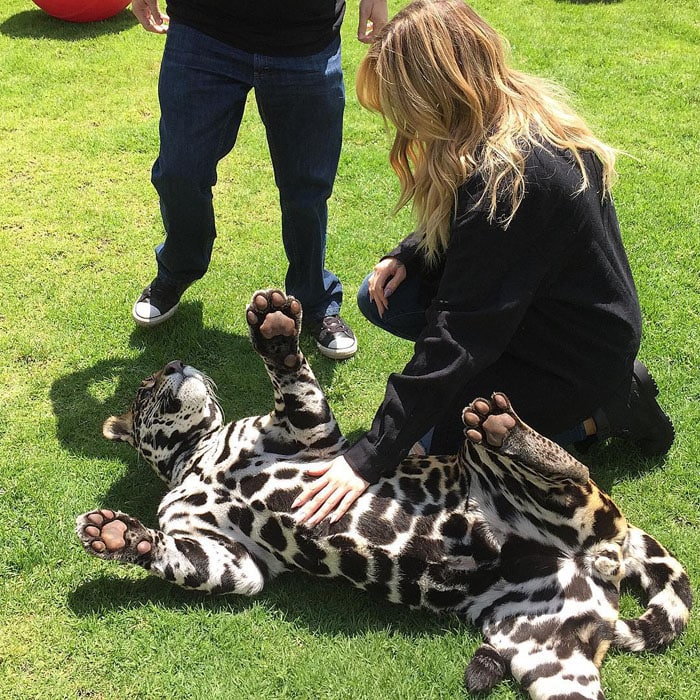 Khloe Kardashian plays with a jaguar at the Black Jaguar White Tiger Foundation in Mexico